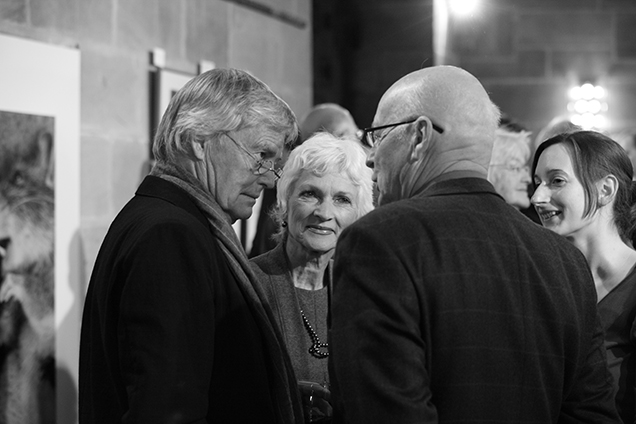 Ausstellung Konrad Rufus Müller 1